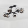 Ripoll ceiling light, globe light chrome, clear, Smoke-coloured, 6-light sources