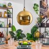 Koyoto hanging light, globe light, pendant light gold, 1-light source