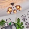 Koyoto ceiling light, globe light 52 cm clear, Smoke-coloured, 5-light sources
