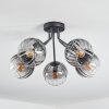 Koyoto ceiling light, globe light 52 cm clear, Smoke-coloured, 5-light sources