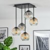 Ripoll ceiling light, globe light Amber, clear, Smoke-coloured, 5-light sources
