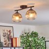Ripoll ceiling light, globe light clear, Smoke-coloured, 2-light sources