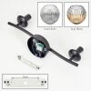 Ripoll ceiling light, globe light Amber, clear, Smoke-coloured, 2-light sources