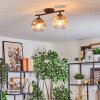 Ripoll ceiling light, globe light Amber, clear, Smoke-coloured, 2-light sources