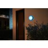 Philips Hue White & Color Ambiance Daylo Wall Light LED stainless steel, 1-light source