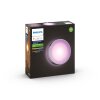 Philips Hue White & Color Ambiance Daylo Wall Light LED stainless steel, 1-light source
