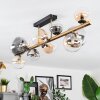 Chehalis ceiling light, globe light gold, black, 10-light sources