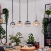 Gastor hanging light, globe light, pendant light Amber, clear, Smoke-coloured, 4-light sources