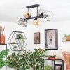 Ripoll ceiling light, globe light Amber, clear, Smoke-coloured, 6-light sources