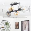Ripoll ceiling light, globe light Amber, clear, Smoke-coloured, 6-light sources