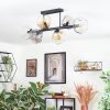Ripoll ceiling light, globe light Amber, clear, Smoke-coloured, 6-light sources