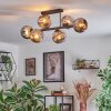 Ripoll ceiling light, globe light chrome, Smoke-coloured, 6-light sources