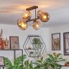 Ripoll ceiling light, globe light chrome, clear, Smoke-coloured, 6-light sources