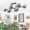 Ripoll ceiling light, globe light Smoke-coloured, 10-light sources