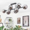 Ripoll ceiling light, globe light Smoke-coloured, 10-light sources