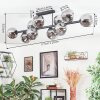Ripoll ceiling light, globe light Smoke-coloured, 10-light sources
