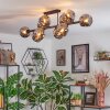 Ripoll ceiling light, globe light Smoke-coloured, 10-light sources