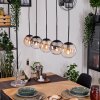 Gastor hanging light, globe light, pendant light Amber, clear, Smoke-coloured, 5-light sources