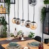 Gastor hanging light, globe light, pendant light Amber, clear, Smoke-coloured, 5-light sources