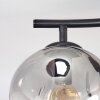 Ripoll ceiling light, globe light clear, Smoke-coloured, 2-light sources