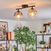 Ripoll ceiling light, globe light Amber, clear, Smoke-coloured, 2-light sources
