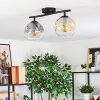 Ripoll ceiling light, globe light Amber, clear, Smoke-coloured, 2-light sources