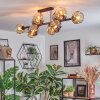Ripoll ceiling light, globe light Amber, Smoke-coloured, 10-light sources