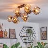 Ripoll ceiling light, globe light Amber, Smoke-coloured, 10-light sources