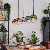 Gastor hanging light, globe light, pendant light blue, chrome, green, clear, coppery, Smoke-coloured, 5-light sources