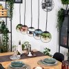 Gastor hanging light, globe light, pendant light blue, chrome, green, clear, coppery, Smoke-coloured, 5-light sources