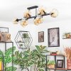 Ripoll ceiling light, globe light Amber, 10-light sources