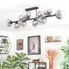 Koyoto ceiling light, globe light clear, Smoke-coloured, 10-light sources
