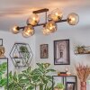 Koyoto ceiling light, globe light Amber, clear, Smoke-coloured, 10-light sources