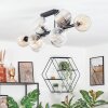 Koyoto ceiling light, globe light Amber, clear, Smoke-coloured, 10-light sources