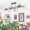 Koyoto ceiling light, globe light Amber, clear, Smoke-coloured, 10-light sources