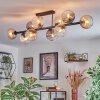Koyoto ceiling light, globe light Amber, clear, Smoke-coloured, 10-light sources