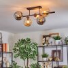 Gastor ceiling light, globe light Amber, clear, Smoke-coloured, 5-light sources