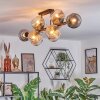 Ripoll ceiling light, globe light Amber, clear, Smoke-coloured, 10-light sources
