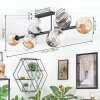 Ripoll ceiling light, globe light Amber, clear, Smoke-coloured, 10-light sources