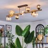 Chehalis ceiling light, globe light gold, black, 10-light sources
