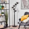 Koyoto floor lamp 40 cm clear, Smoke-coloured, 6-light sources