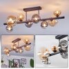 Chehalis ceiling light, globe light Amber, clear, Smoke-coloured, 8-light sources