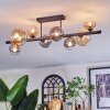 Chehalis ceiling light, globe light Amber, clear, Smoke-coloured, 8-light sources