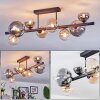 Chehalis ceiling light, globe light Amber, clear, Smoke-coloured, 8-light sources