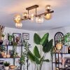 Chehalis ceiling light, globe light Amber, clear, Smoke-coloured, 8-light sources