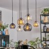 Koyoto hanging light, globe light, pendant light Amber, clear, Smoke-coloured, 6-light sources