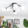 Chehalis ceiling light, globe light white, 6-light sources