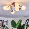 Chehalis ceiling light, globe light white, 6-light sources