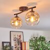 Ripoll ceiling light, globe light Amber, clear, 2-light sources