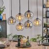 Koyoto hanging light, globe light, pendant light Amber, clear, Smoke-coloured, 6-light sources
